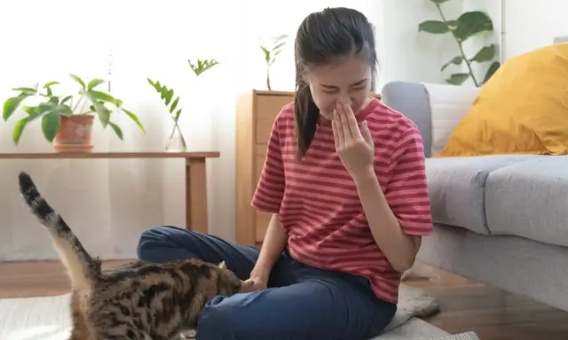 Dziewczyna zatyka nos, czując objawy alergii na kota. Kot siedzi obok niej na dywanie.