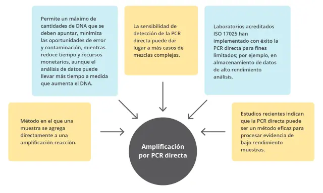 Diagrama de flujo con un círculo central que dice "Amplificación por PCR directa" rodeado de cuadros de texto con información sobre sus beneficios y aplicaciones.