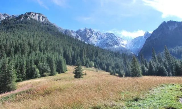 Piękny widok na Tatry, idealny na spacer. Jak dojechać do Doliny Kościeliskiej? Szlakiem przez las i łąki.