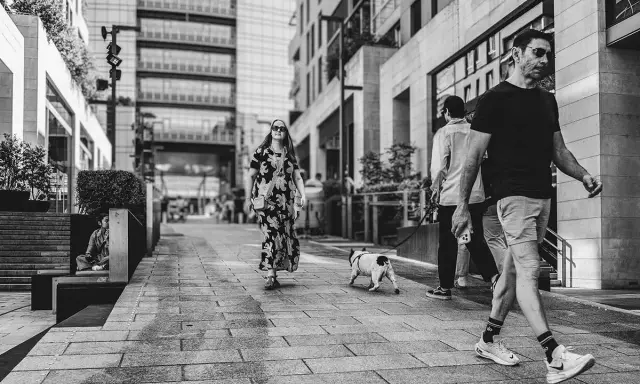 Street fotografia in bianco e nero: una donna con un vestito floreale passeggia con un cane, mentre altri camminano sullo sfondo.