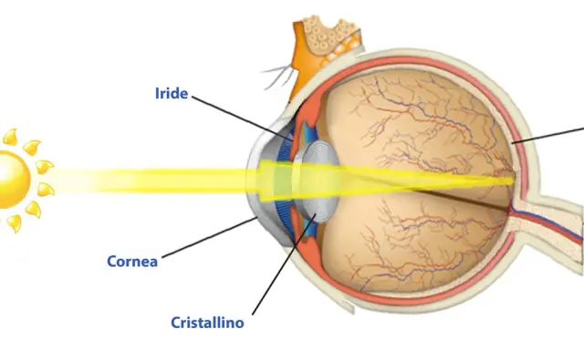 Diagramma occhio umano: luce solare entra da cornea, cristallino, iride, focalizza sulla retina. Quanti megapixel ha l'occhio umano?