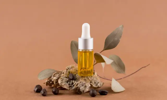 Flacon d'huile dorée, posé sur une pierre avec des graines et des feuilles séchées. Un élixir naturel pour des cheveux éclatants, comme l'huile de ricin cheveux.