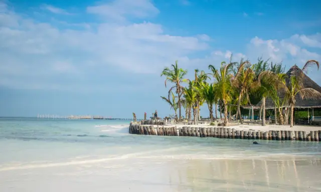 Piękna plaża z palmami i drewnianym molo. Zastanawiasz się, ile się leci na Zanzibar? To raj na ziemi!