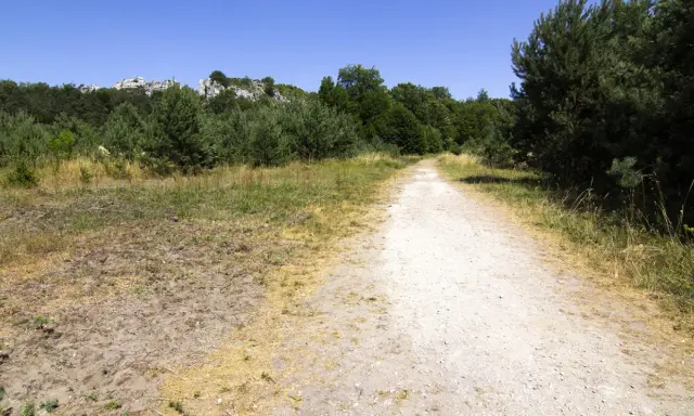 Droga przez las prowadzi do skalistych wzniesień. To ścieżka w centrum dziedzictwa przyrodniczego i kulturowego Jury.