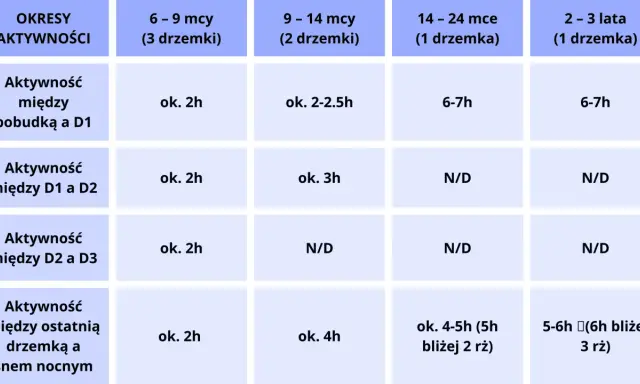 Tabela przedstawia przykładowy rytm dnia niemowlaka w zależności od wieku i liczby drzemek.
