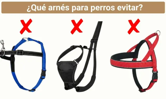 Tres tipos de arneses para perros marcados con X roja. El azul es un arnés de pecho, el negro parece un arnés de paseo, y el rojo es un arnés de entrenamiento.