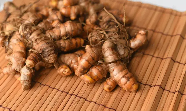 Kłącza kurkumy, znanej jako turmeric co to, leżą na bambusowej macie.