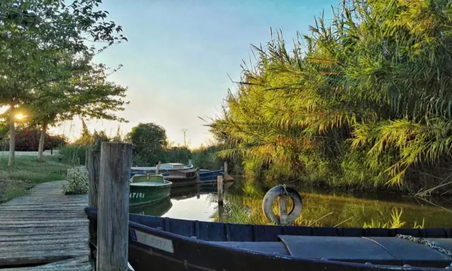 Boote liegen am Steg im Sonnenuntergang an der Albufera Valencia. Schilf säumt das Wasser.