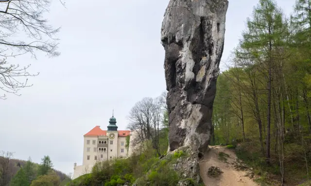 Skała na szlaku Orlich Gniazd, zamek w tle.