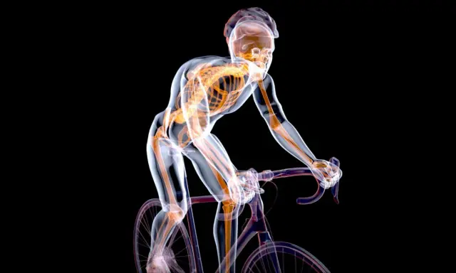 Przezroczysty rowerzysta pokazuje, jakie mięśnie pracują podczas jazdy na rowerze: nogi, pośladki i tułów.