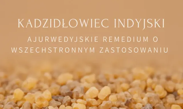 Kadzidłowiec: skutki uboczne? Zanim zażyjesz, poznaj ryzyko!