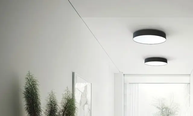 Nowoczesny korytarz z dwoma okrągłymi plafonami led 80 cm, roślinami i minimalistyczną sztuką.