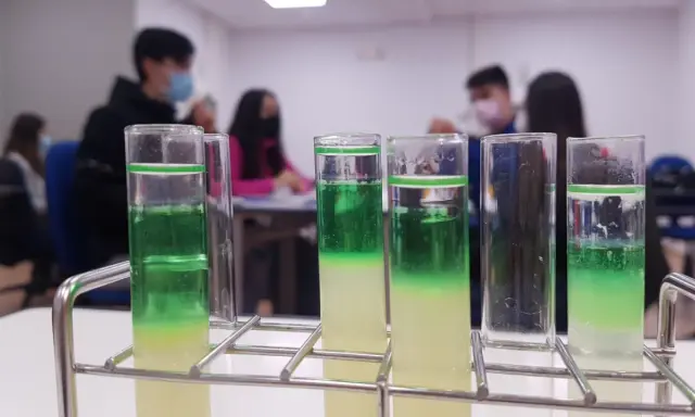 Tubos de ensayo con capas verdes y amarillas, parte de un experimento de extraccion adn en un laboratorio escolar.