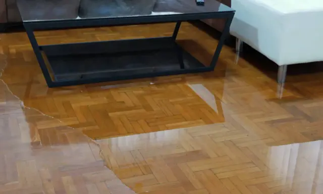Un salon inondé, le parquet gondolé par l'eau. Une table basse et un pouf flottent dans le désastre.