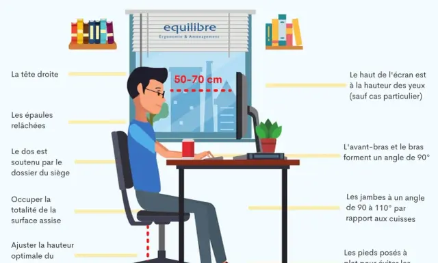 Illustration montrant les principes de l'ergonomie au bureau : posture, hauteur d'écran, position des bras, jambes et pieds pour un confort optimal.