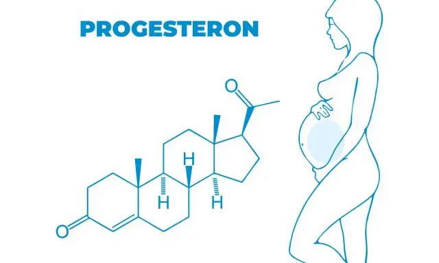 Struktura chemiczna progesteronu i sylwetka kobiety w ciąży. Dowiedz się, jak naturalnie podnieść progesteron.