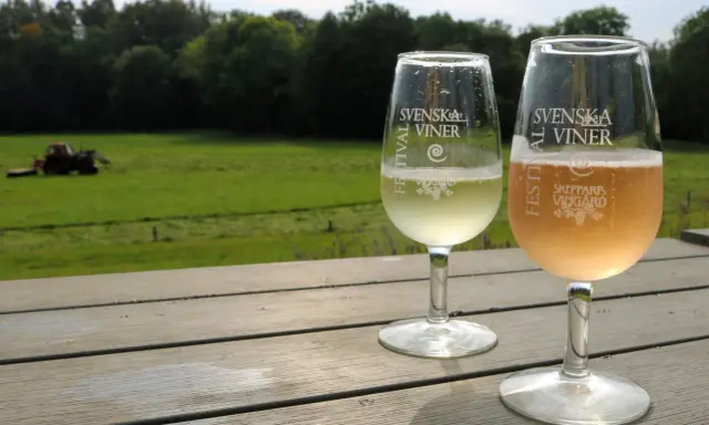 Två glas med bubbel står på ett träbord med utsikt över ett fält och skog. Ett av glasen är märkt "Skepparps Vingård".