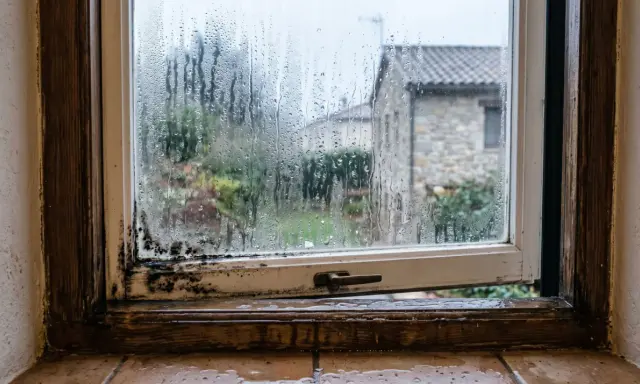 Marco de ventana con moho y gotas de agua. La humedad se acumula en el cristal, empañándolo y dificultando la vista del exterior.
