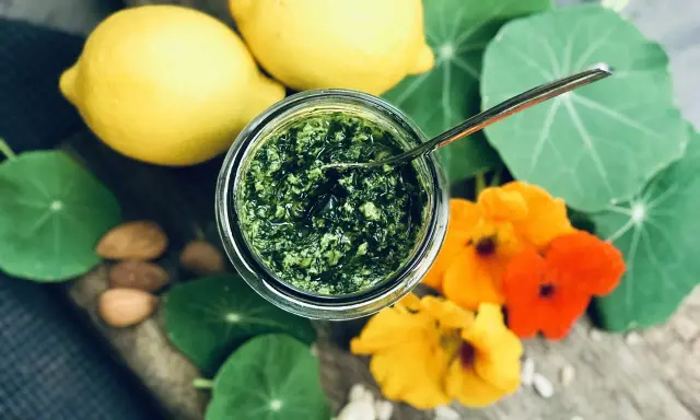 Frisches Pesto aus Kapuzinerkresse, garniert mit Zitronen, Nüssen und Blüten. Ein Genuss zum Kapuzinerkresse essen!