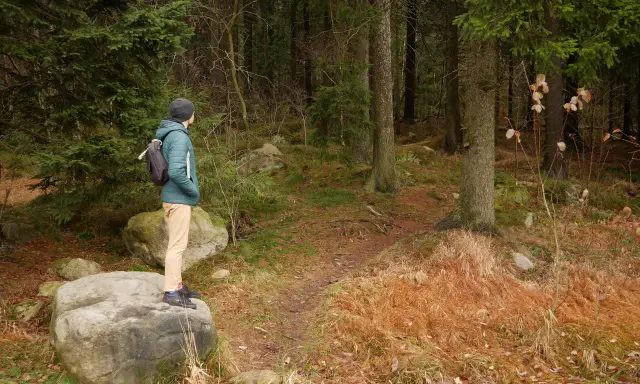 Mężczyzna w zielonej kurtce stoi na skale, podziwiając leśne **szlaki Gór Stołowych**.
