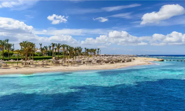 Piękna plaża w Marsa Alam, luty. Słoneczna pogoda, palmy, leżaki i turkusowe morze.