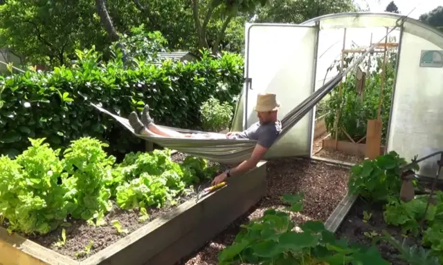 Un homme se repose dans un hamac, entouré de son potager florissant. Il a bien mérité cette pause après avoir passé du temps à faire un potager.