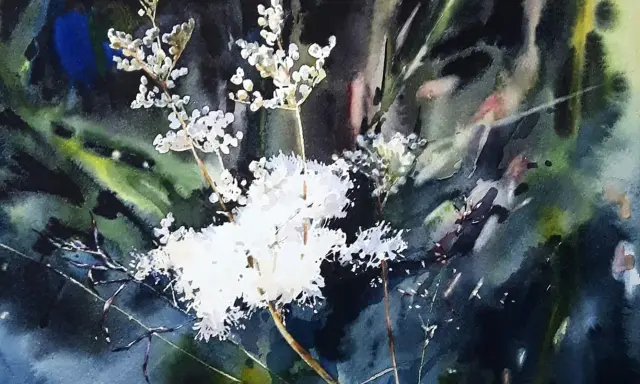 Vattenfärgsmålning av vita blommor i mörkgrönt, där tekniken att måla vått i vått ger en drömsk känsla.