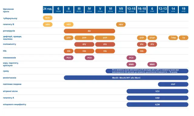 Harmonogram szczepień wzw b i innych chorób: BCG, HBV, RV, DTP, IPV, Hib, PCV, MMR, HVP, VZV, HAV, KZM.