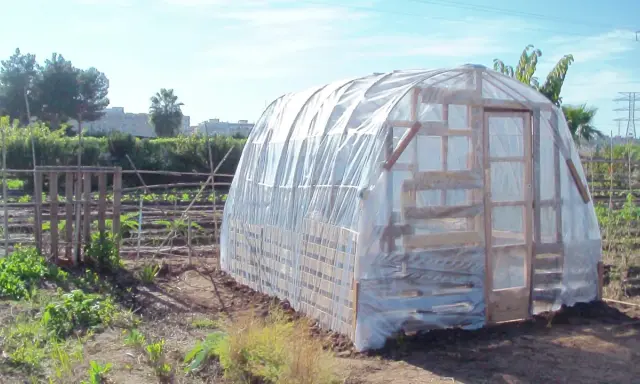 Un invernadero casero con palets protege cultivos. Su estructura de madera y plástico transparente crea un microclima ideal.