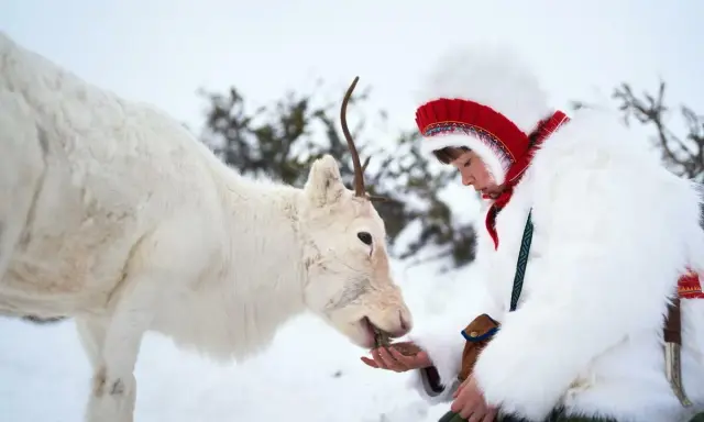 En ung person i samedräkt matar en ren i snön. En vacker scen från ett film om samer.