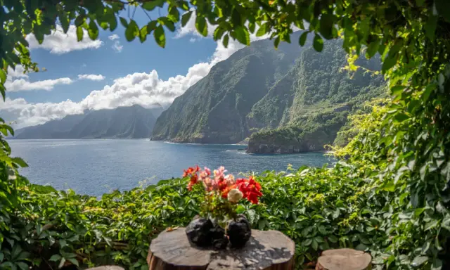 Ein idyllischer Ausblick auf Madeira: üppige Vegetation, das blaue Meer und steile, grüne Berge. Was muss man auf Madeira gesehen haben? Diese Aussicht ist ein Muss!