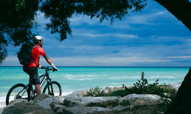 Ciclista ammira il mare turchese lungo la ciclovia adriatica in Abruzzo, con alberi che incorniciano la scena.