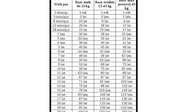 Tabela pokazuje wiek psa w latach i miesiącach oraz jego przewidywaną wagę w zależności od rasy. Jaki wynik psa jest niepokojący? Zależy od rasy i wieku.