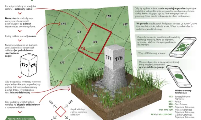 Jak się znaleźć w lesie? Słupki oddziałowe z numerami pomogą Cię zlokalizować, gdy będziesz chciał zanocuj w lesie.