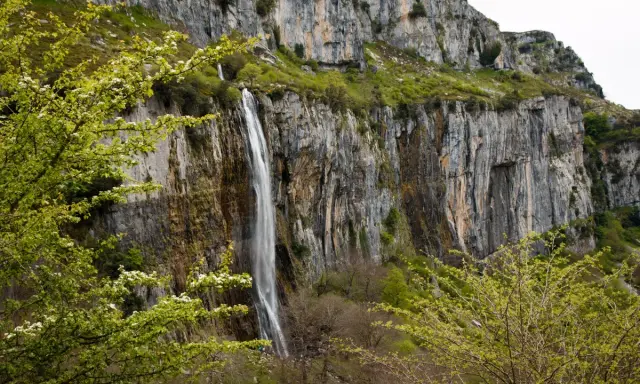 Impresionante cascada en el nacimiento del río Asón, cayendo por un acantilado rocoso cubierto de vegetación verde y flores blancas.