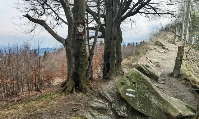 Kapliczka na drzewie przy kamienistej trasie na Leskowiec. Szlak prowadzi przez las, z widokiem na góry.