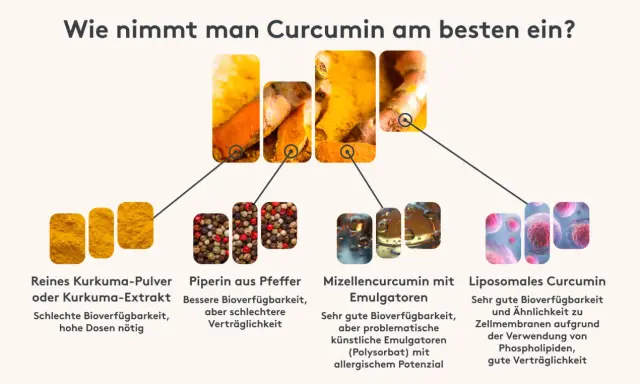 Kurkuma wie einnehmen: Pulver, Pfeffer, Mizellen oder liposomales Curcumin. Die Grafik zeigt verschiedene Formen und deren Bioverfügbarkeit.
