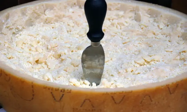 Ein Parmesanrad mit einem Messer, bereit zum Portionieren. Der Unterschied zwischen Parmesan und Pecorino ist oft im Geschmack und der Textur zu finden.