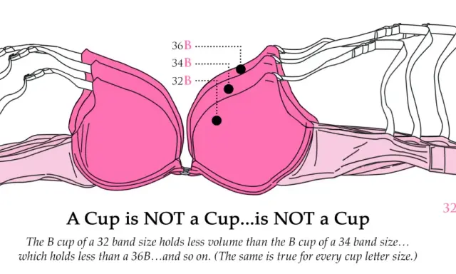 Illustrazione di reggiseni rosa sovrapposti che mostra come la taglia reggiseno 34 a cosa corrisponde in termini di volume della coppa rispetto ad altre taglie.