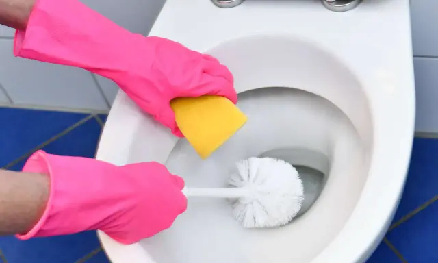 Hände in pinken Handschuhen reinigen die Toilette mit einer Bürste und einem Schwamm. Soda ist ein tolles Hausmittel zur Toilette mit Soda reinigen.