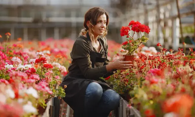 Jakie kwiaty sadzić w maju? Poradnik przed i po Zimnych Ogrodnikach