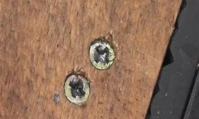 Dos tornillos pasados de rosca en madera. Aprende como quitar un tornillo pasado de rosca en metal con estos consejos.