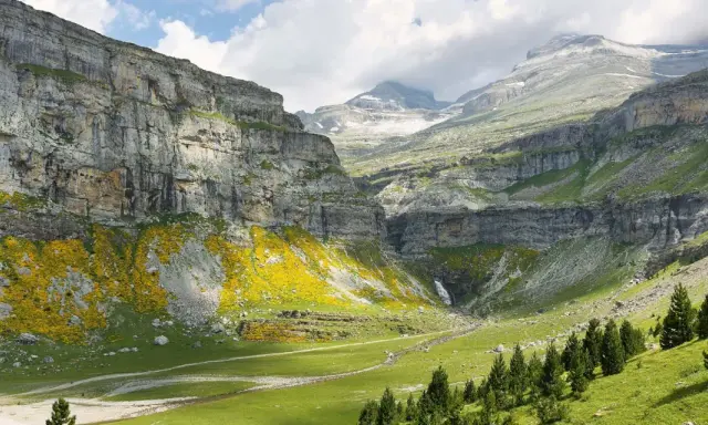 Majestuoso valle de Ordesa con cascada, acantilados cubiertos de flores amarillas y pinos. La cola de caballo de Ordesa cae en la distancia.