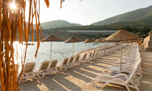 Rzędy leżaków i parasoli na plaży w Bodrum, słońce przebija się przez liście palmy.