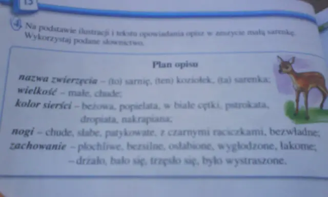 Opis zwierzęcia klasa 3: mała, chuda sarenka o beżowej sierści, płochliwa i wystraszona.