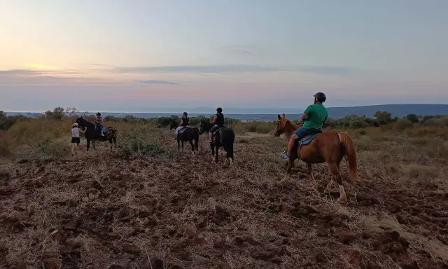 Un gruppo di persone fa una **passeggiata a cavallo in Puglia** al tramonto, godendosi il paesaggio collinare e il mare in lontananza.