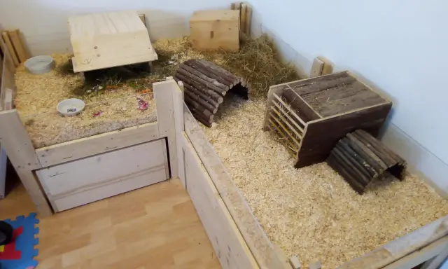 Ein geräumiger Meerschweinchenstall, den man selber bauen kann, mit Holzrampen, Häusern und viel Einstreu.