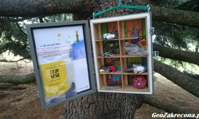 Skrzynka geocachingowa na drzewie z cytatem z "Małego Księcia" i drobnymi skarbami. To właśnie geocaching co to za zabawa!