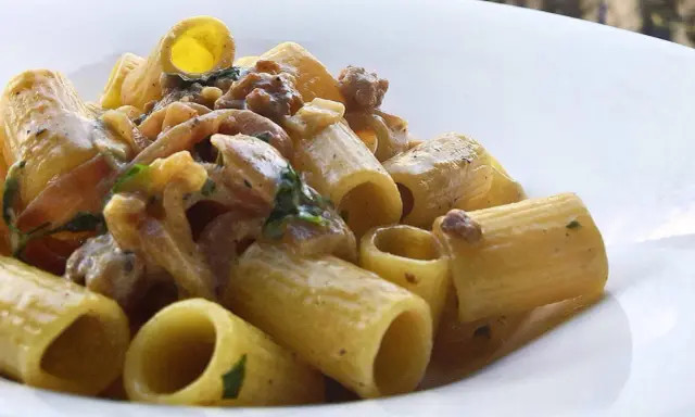 Rigatoni cremosi con salsiccia sbriciolata e erbe aromatiche, un piatto invitante.