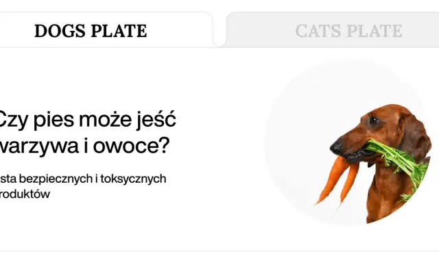 Jamnik z marchewką w pysku. Dowiedz się, jakie warzywa może jeść pies, aby jego dieta była zdrowa i bezpieczna.